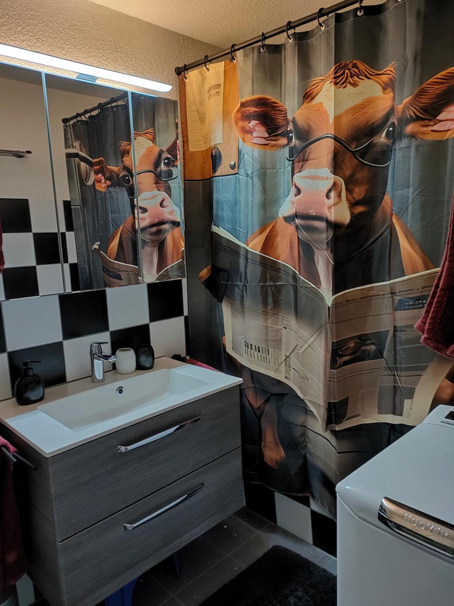 דירות גרסאו Camenzind מראה חיצוני תמונה